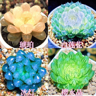 Mڰɏ¶Mɏ¿҃k҄[ݗ