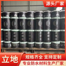 SBS��ˮ���� ���͵�������������ѿp��©��ˮ���Ԟr���ˮ����