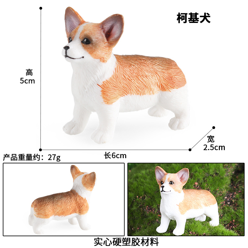 3591 스탠딩 코기