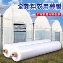 塑料大棚膜透明加厚防水防风防寒拱棚农用薄膜封窗防尘塑料布