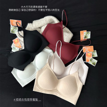 原版2501新款暖肌磨毛软支撑无痕内衣小胸聚拢防下垂保暖文胸外贸