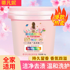 洗剤は持続的に香りを残すメーカー卸売り家庭用家庭の実恵入れバケツに10斤の開業活動の贈り物を販売する