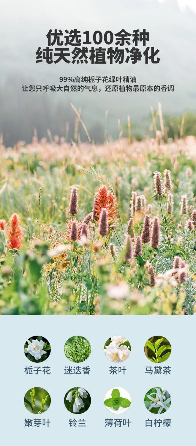 2e74dc44-debe-43cf-a7ea-143430e0716c.jpe