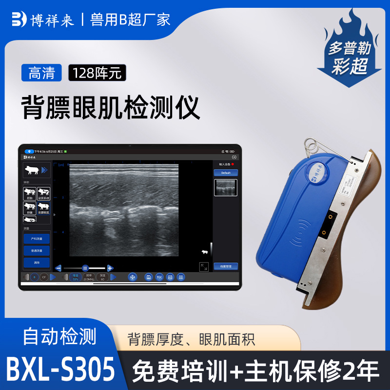 猪牛羊背膘眼肌测定仪 种猪育种B超机 AI智能背膘厚度检测仪