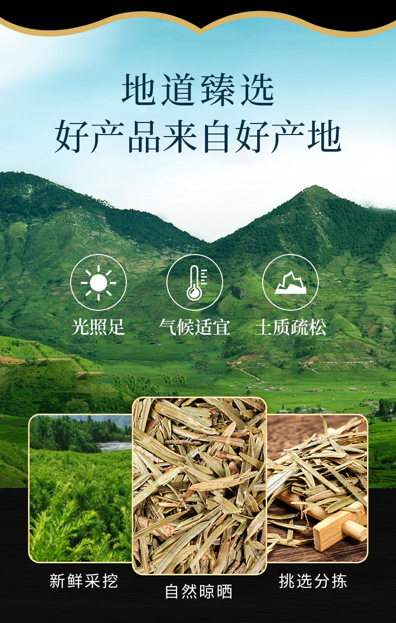 Hong Dou Shan Leaves (Taxus chinensis) — Dried Chinese Yew Leaf Herb, 500g overview