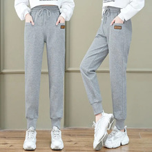 卫裤女春秋季新款宽松直筒休闲运动裤小脚裤收腰显瘦裤