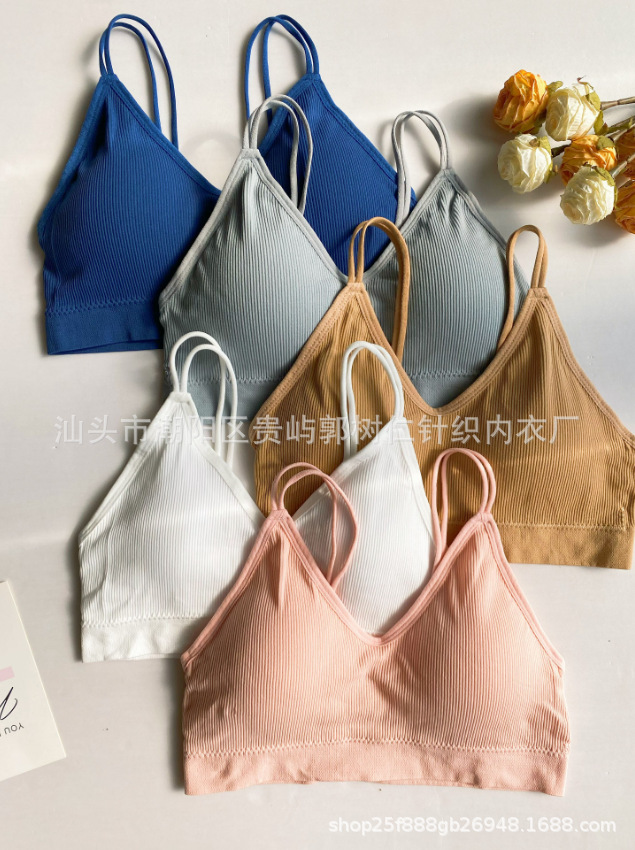 5 색 블루 그레이 스킨 화이트 파우더