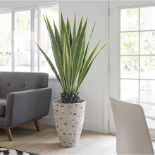 1�׷��������m�������ɳĮֲ����������辰����Gֲ�٘��b�