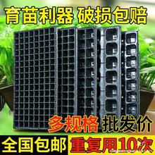 ����Ѩ���������籭������������猣����������Ѩ��