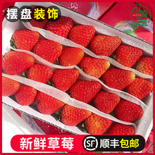 prݮƷ決̲ꌣòݮˮS]