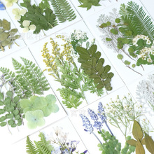 树叶押花干花材料包厂家直发批发云南压花基地手工贴画相框装饰画