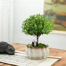 小叶赤楠盆栽室内客厅办公室桌面绿植花卉四季常青好养盆栽