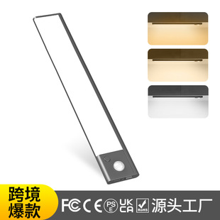 LED���������� �o����늴������w�Б�Сҹ�� ������������