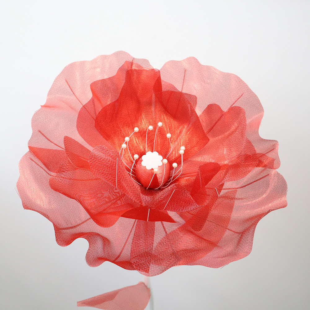 붉은 꽃 머리 직경 50cm