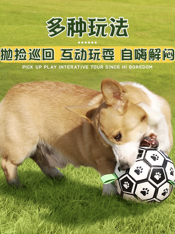 애견 장난감 공 사이드 콜리 자동 축구 골든 리트리버 코기 개 훈련 애완동물 무는 소리 벨 볼 윤부착