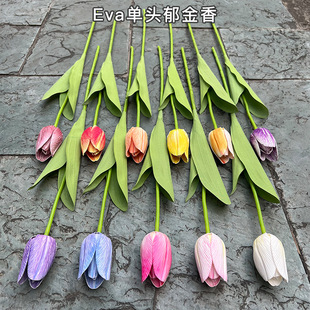 �羳��Ʒ���������� Eva���^������ ��c�������Ҿ�ܛ�b�[���ٻ�