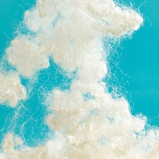 PP�޴�����ż��䌣�üӹ�ԭ���������S�����п��w�S��]���w