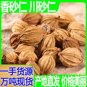 [批发散装香砂仁金砂仁 火锅卤料砂仁川砂仁香砂 砂仁一手货源]