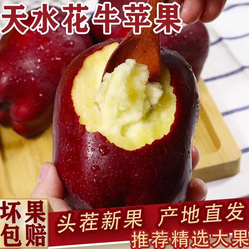 Freshly Picked Gansu Tianshui Huaniu Apples, Fresh Seasonal Fruit, Red, Crisp, Sweet, with a Powdery Texture, Free Shipping and Dropshipping Available