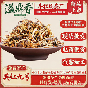�綦��Ӣ�t��̖Ӣ�¼t�蹤�S���lӢ�t9̖�����ͽ�ѿ�Ϙ���~����