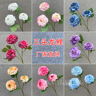 �¿����^�������\��ĵ����c���滨�ٻ�Ī�λ�c�廨�����[����ˇ