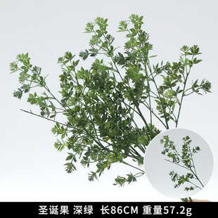 �Gɫ����ֲ��ɭϵ���滨�Gɫ���nϵ�Gֲ����ާ�Y�b�ֲ���쾰