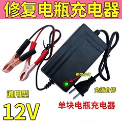 スマート12Vペダルオートバイ電気自動車充電器12v20AHバッテリー修復ドライ水汎用鉛酸