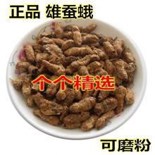 雄蚕蛾500g/桑蚕蛾//纯雄蚕蛾公蚕蛾/晚蛾子未交尾可泡酒真货好货