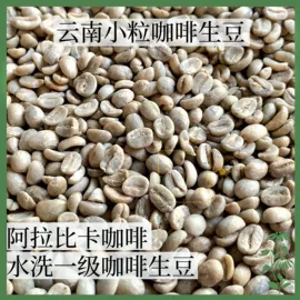 速溶咖啡;咖啡生豆;咖啡豆