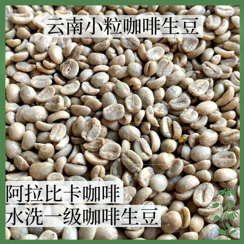 Yunnan Aa Grade Catimor Coffee Green Beans, Washed Arabica Grade One Green Beans, 60kg in Burlap Bags, Commercial Wholesale Yunnan Aa Grade Catimor Coffee Green Beans, Washed Arabica Grade One Green Beans, 60kg in Burlap Bags, Commercial Wholesale