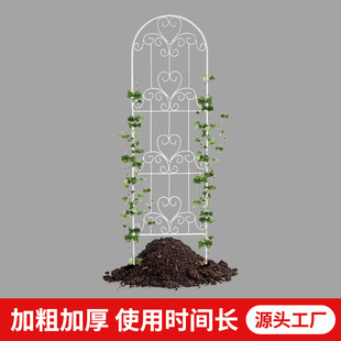 Outdoor Iron Floor-Standing Climbing Frame Courtyard Decorative Fence Flower Plant Climbing Frame Balcony Garden Flower Stand