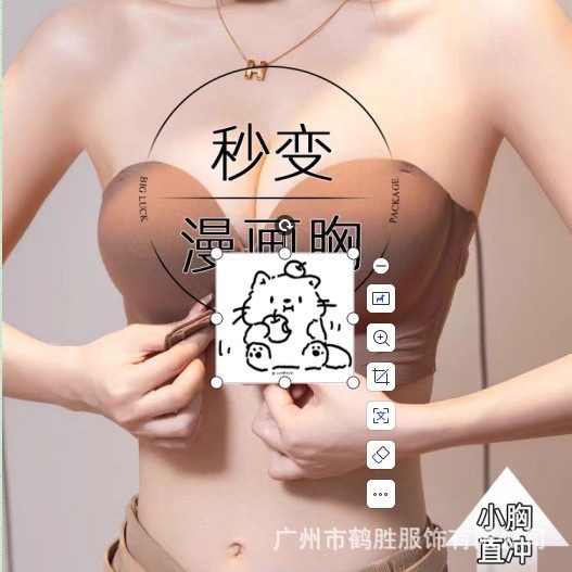 Venta directa de fábrica comercio electrónico transfronterizo Sudeste de Asia Vietnam Tailandia damas sin costuras sujetador de recogida lateral cómodo