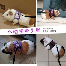 溜猪绳荷兰猪牵引绳豚鼠松鼠天竺鼠胸背带侏儒小兔幼兔绳小宠用品