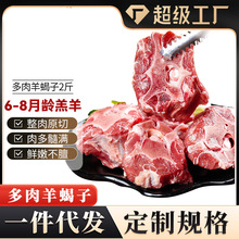 羔羊原切羊蝎子羊肉多肉羊脖骨羊脊骨羔羊羊骨火锅食材商用批发