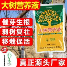 ľIBҺҺͨԘIBҺݔҺ`