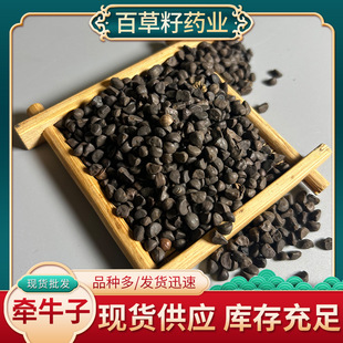 ��ţ�Ӻڳ�������Ȼ�����ș�Ġ�ţ�ѬF؛�F�l����ă����l����
