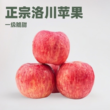正宗陕西洛川苹果 代发水果新鲜当季整箱一级脆甜红富士产地直发