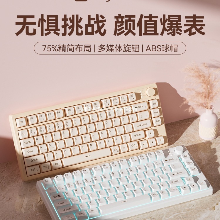 機械の手触りの女子学生の電気競争のキーボードは有線でタイプします。|undefined