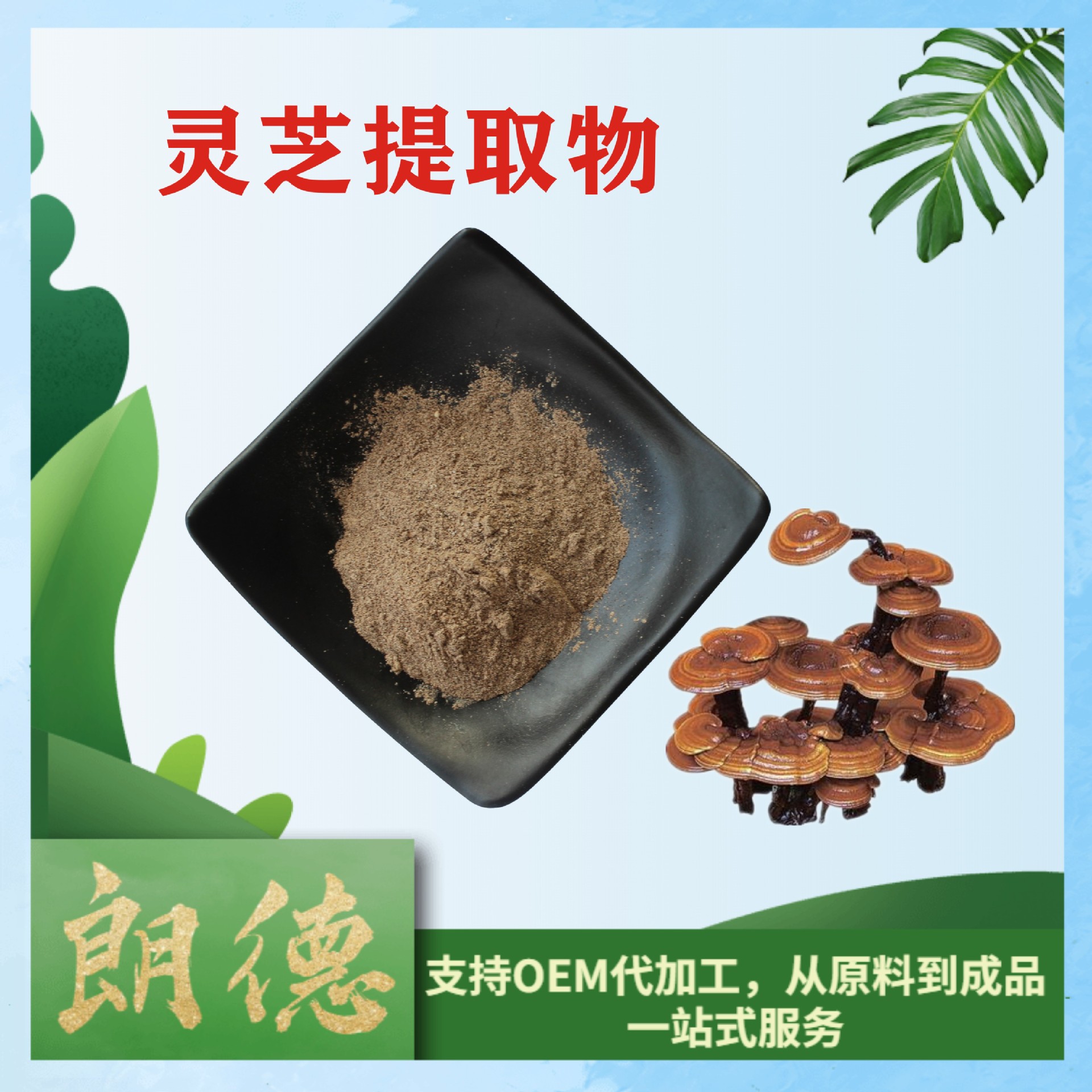 灵芝提取物20:1 灵芝多糖 水溶性灵芝粉 现货  量大价优 一公斤