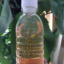 o܄Һwճ֬ ߳ճ_ŕrgLN߅͵͜