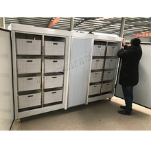 ʳƷ�S��ѿ�˰lѿ�C�a�ؐa��250���ﶹѿ�Cѿ��˾G��ѿ��ѿ�C