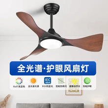 2025�¿���ȟ�d���Ҽ��ß���һ�w�������s�o�������L�ȵ���