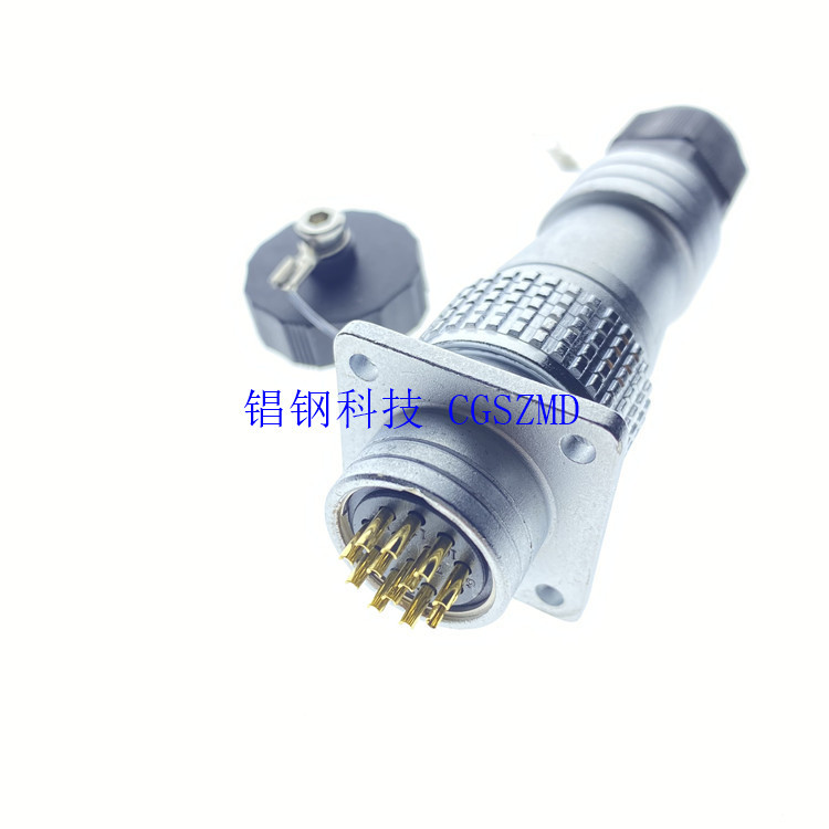 WS WY WF20/24-12TI/Z 12о ��PG����β�����ղ�ͷIP67���������