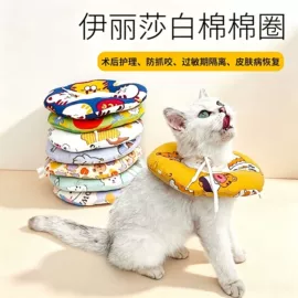 狗狗牵引;猫猫玩具;伊丽莎白圈