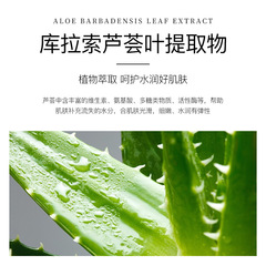 Single Chip Agulya Aloe Vera Black Absorbing Mask, Refreshing Hydrating Moisturizing Fine Absorbing Dirt Skincare for Men and Women