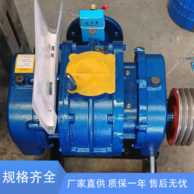 現物供給ルーツ送風機150口径防爆ダブルオイルタンクインバーターファン汚水処理ルーツ送風機|undefined