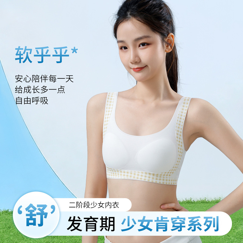 Seamless Girl's Second-Stage Skin-Friendly Comfortable Student Sports Bra Without Underwire, Gathering Effect, Not Tight-Fitting, Wholesale Seamless Girl's Second-Stage Skin-Friendly Comfortable Student Sports Bra Without Underwire, Gathering Effect, Not Tight-Fitting, Wholesale
