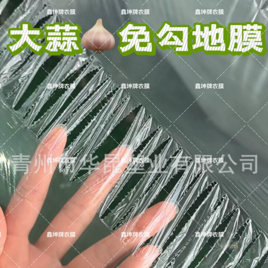 Мульчирующая пленка для чеснока для рассады чеснока и чесночного мха, специальная мульчирующая пленка с жалюзи для теплоизоляции, удержания влаги, воздухопроницаемости, белая и прозрачная.