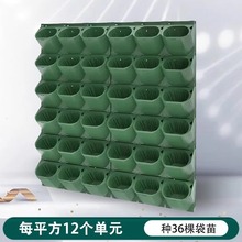 ���w��ֱ�G���䳲�Nֲ�@ˇ�ڒ�ʽ�����Р�ֲ����ϻ���M���o��