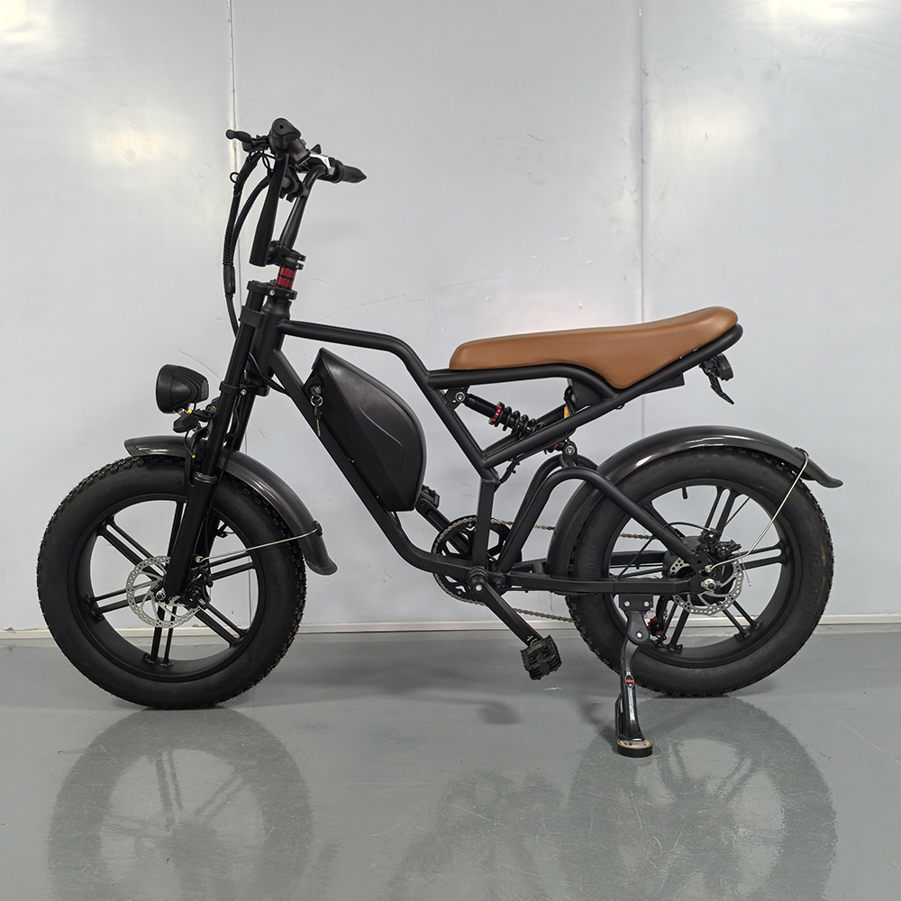 20-inch Fat Tire Off-Road Snow Beach Integrated Wheel Electric Bicycle
